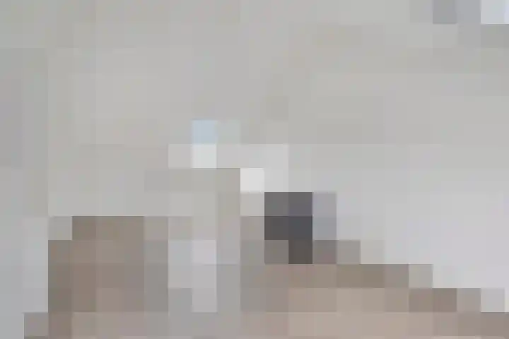 Hooiberg 2 Didam thumbnail 27