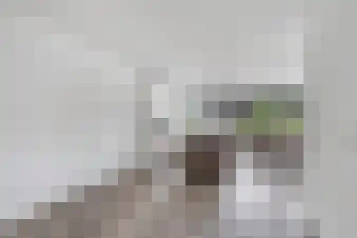 Hooiberg 2 Didam thumbnail 6