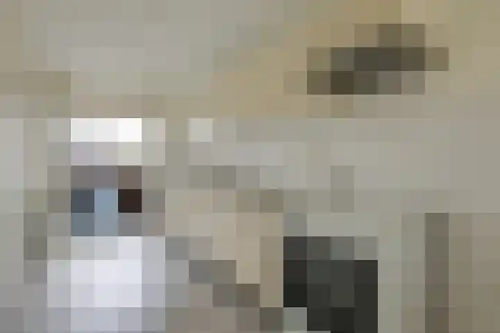 Hooiberg 26 10 Didam thumbnail 21
