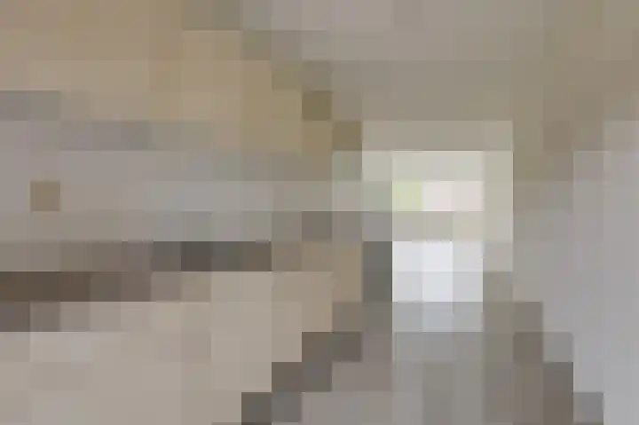 Hooiberg 26 10 Didam thumbnail 22