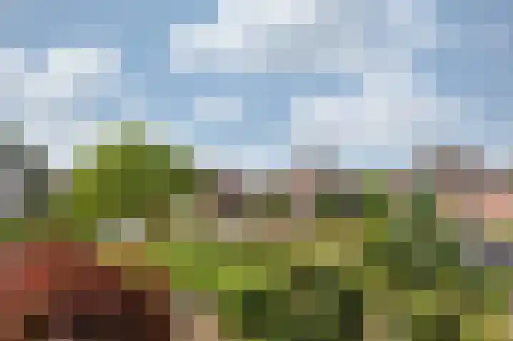 Hooiberg 26 10 Didam thumbnail 27