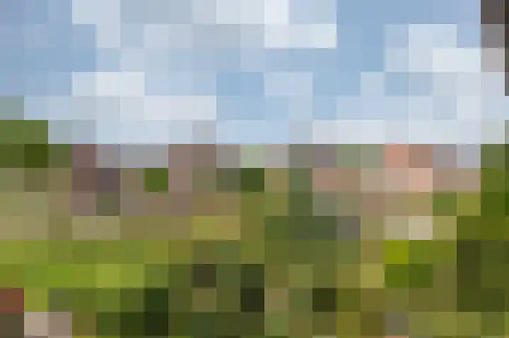 Hooiberg 26 10 Didam thumbnail 29