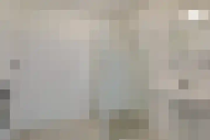 Hooiberg 26 10 Didam thumbnail 34