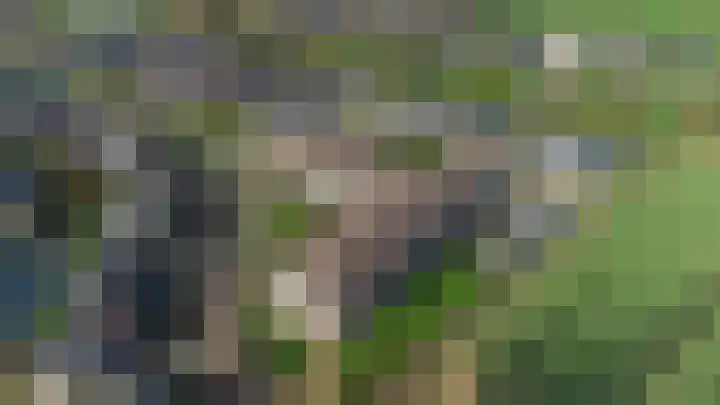 Hooiberg 26 10 Didam thumbnail 43