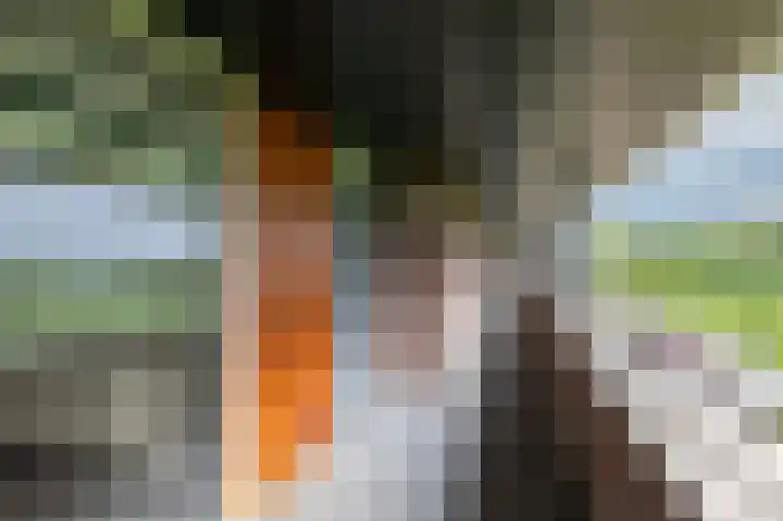 Hooiberg 26 22 Didam thumbnail 12