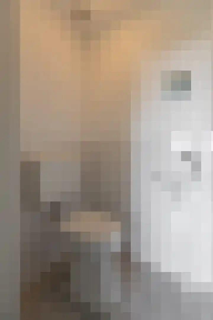 Hooiberg 26 22 Didam thumbnail 15