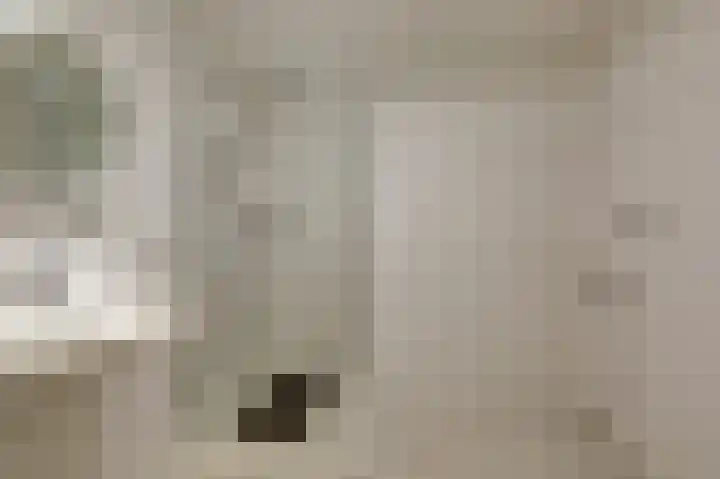 Hooiberg 26 22 Didam thumbnail 19