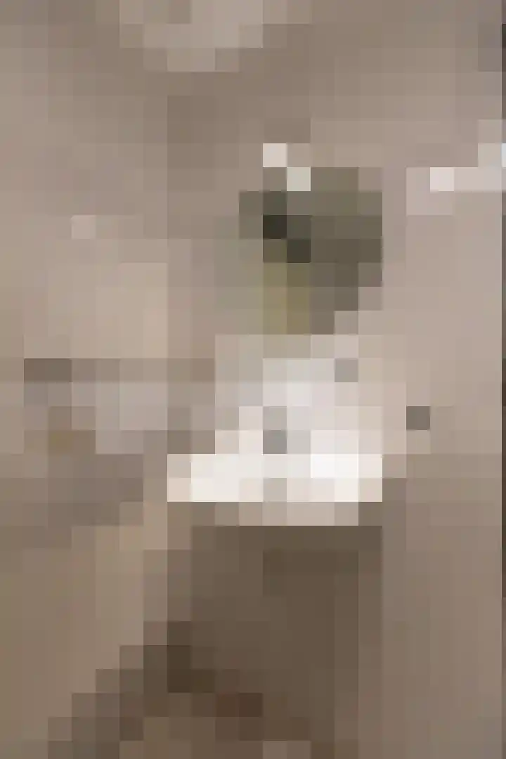 Hooiberg 26 22 Didam thumbnail 22
