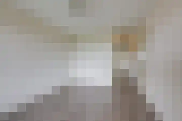 Hooiberg 26 22 Didam thumbnail 25