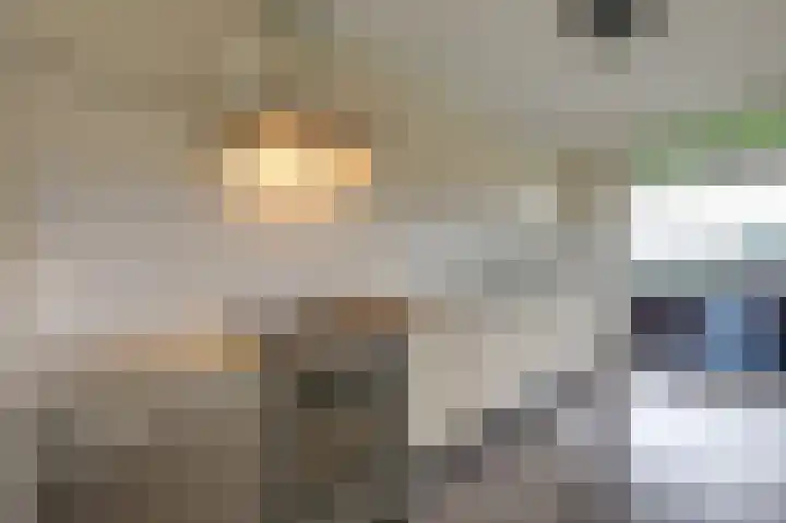 Hooiberg 26 22 Didam thumbnail 31