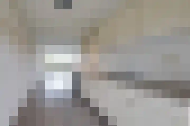 Hooiberg 26 22 Didam thumbnail 32