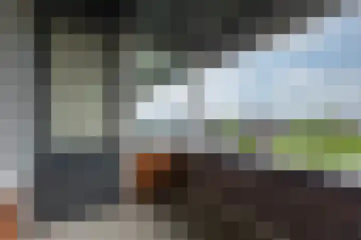 Hooiberg 26 22 Didam thumbnail 34