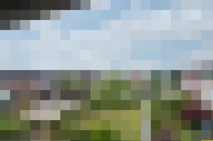 Hooiberg 26 22 Didam thumbnail 35