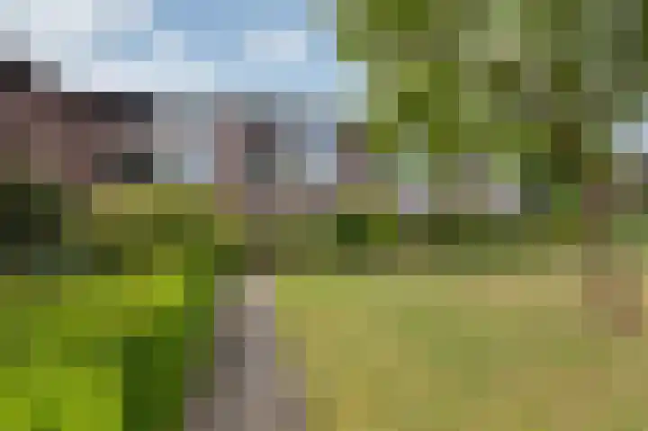 Hooiberg 26 22 Didam thumbnail 37