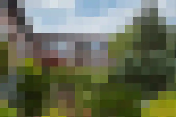 Hooiberg 26 22 Didam thumbnail 38