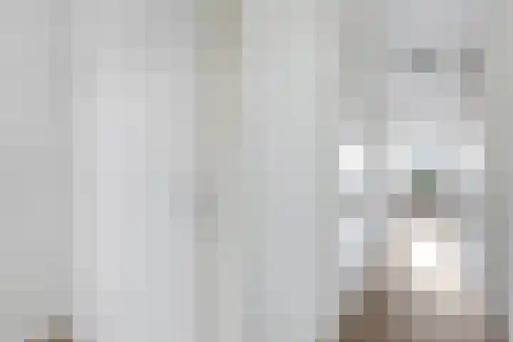 Hooiberg 26 5 Didam thumbnail 11