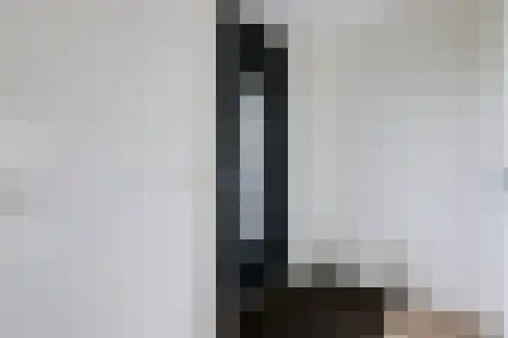 Hooiberg 26 5 Didam thumbnail 12