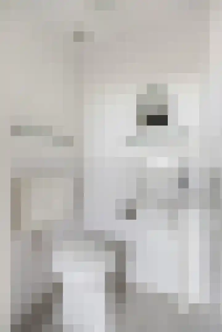 Hooiberg 26 5 Didam thumbnail 13