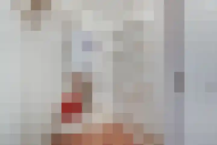 Hooiberg 26 5 Didam thumbnail 14