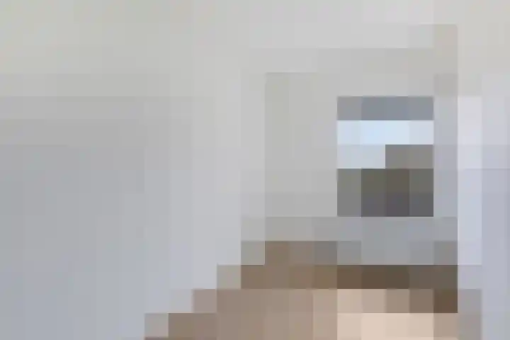 Hooiberg 26 5 Didam thumbnail 15