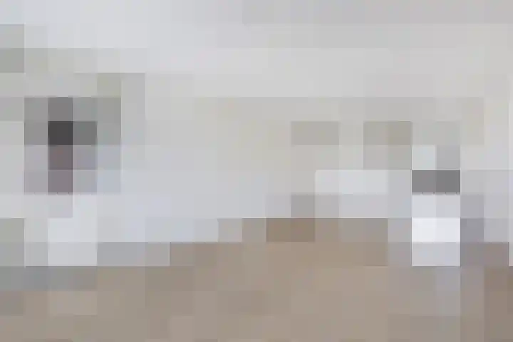 Hooiberg 26 5 Didam thumbnail 19
