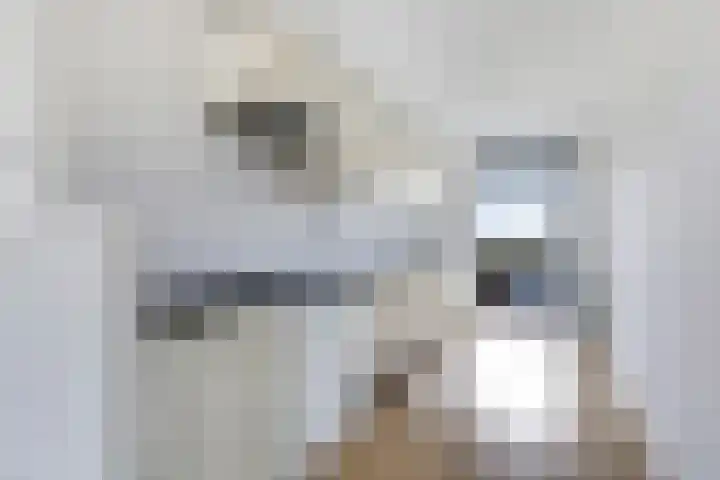 Hooiberg 26 5 Didam thumbnail 22