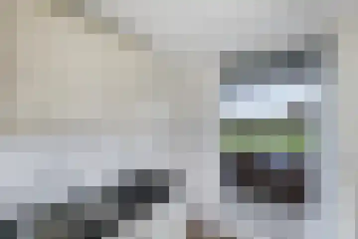Hooiberg 26 5 Didam thumbnail 23