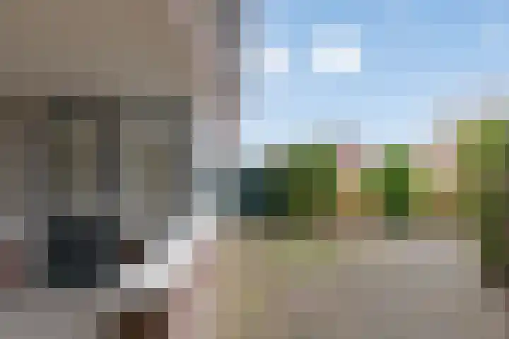 Hooiberg 26 5 Didam thumbnail 28