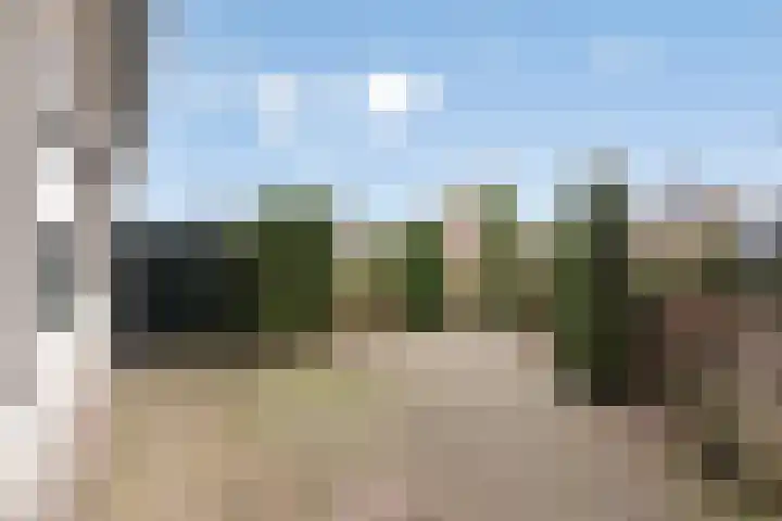 Hooiberg 26 5 Didam thumbnail 29