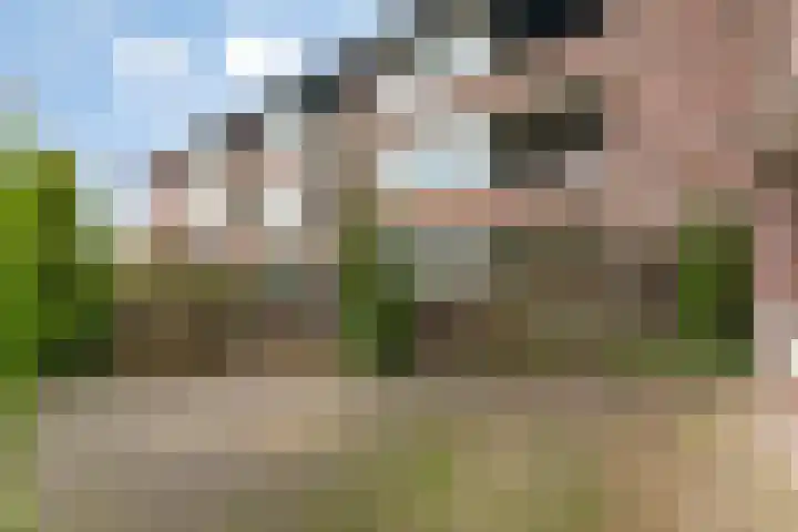 Hooiberg 26 5 Didam thumbnail 30