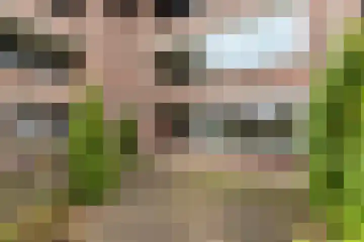 Hooiberg 26 5 Didam thumbnail 31