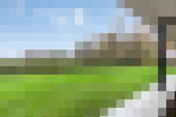 Hooiberg 26 5 Didam thumbnail 36