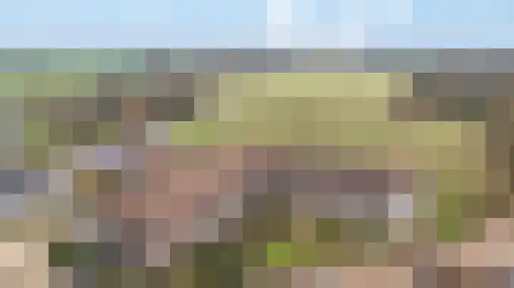 Hooiberg 26 5 Didam thumbnail 38