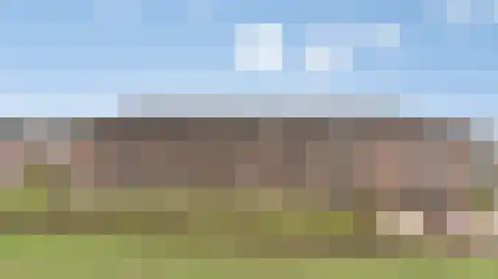 Hooiberg 26 5 Didam thumbnail 40