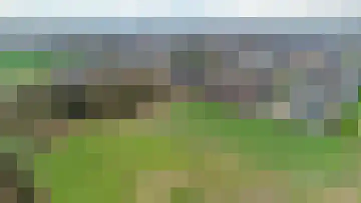 Hooiberg 26 5 Didam thumbnail 43