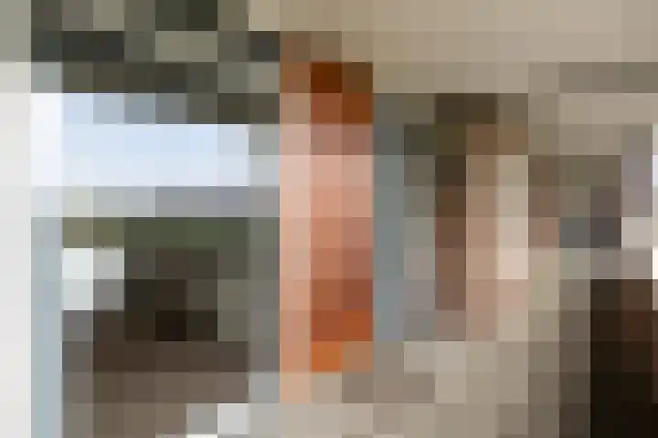 Hooiberg 26 5 Didam thumbnail 9
