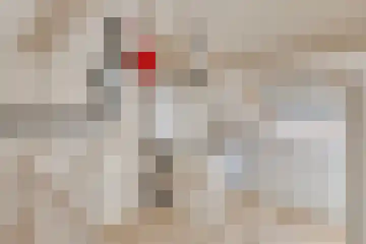 Hooidries 44 Heusden thumbnail 21