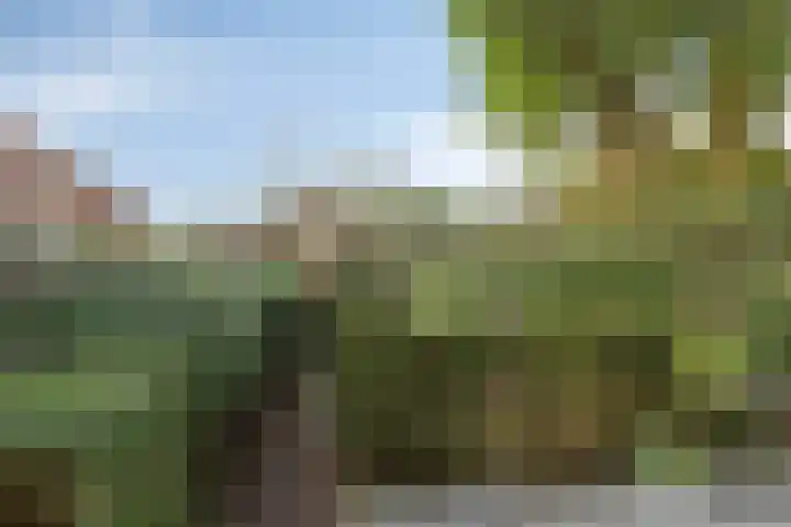 Hooidries 44 Heusden thumbnail 24