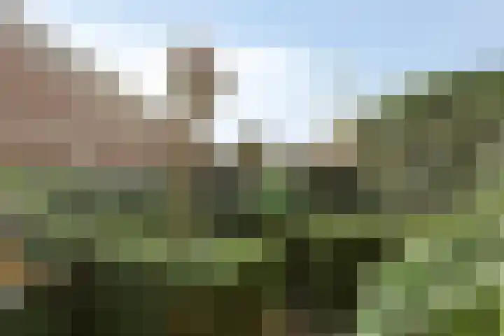 Hooidries 44 Heusden thumbnail 26