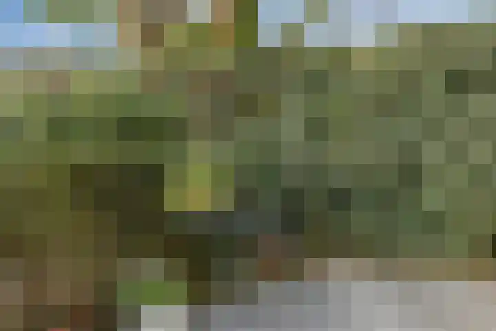 Hooidries 44 Heusden thumbnail 27
