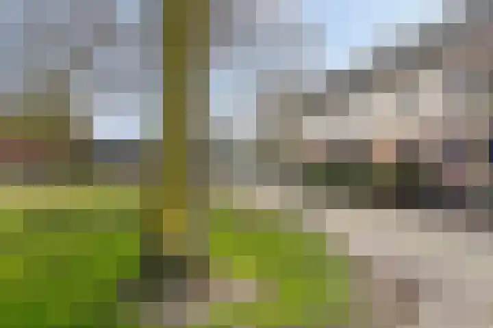 Hooidries 44 Heusden thumbnail 31