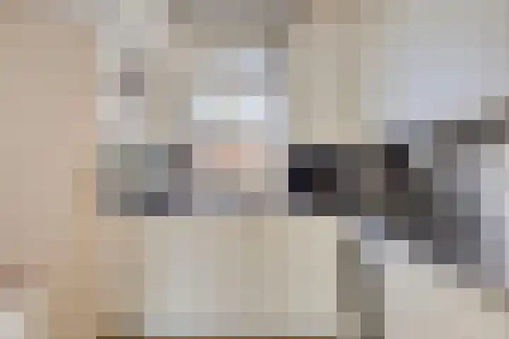 Hooidries 44 Heusden thumbnail 9