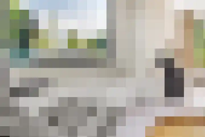 Hooijerinksstraat 9 Delden thumbnail 18