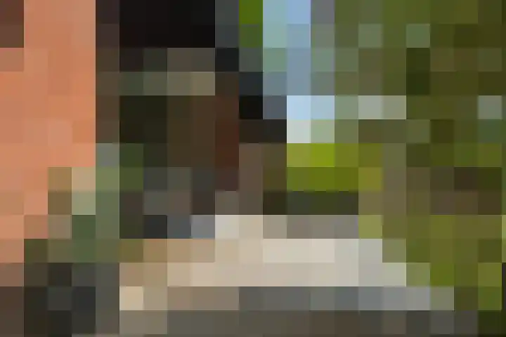 Hooijerinksstraat 9 Delden thumbnail 7