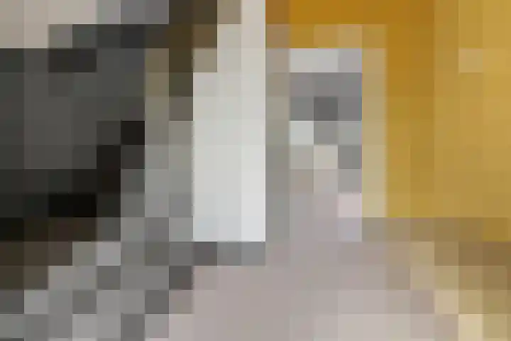 Hooijerinksstraat 9 Delden thumbnail 8