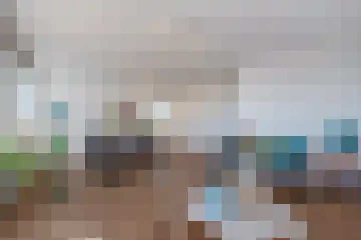 Hooikade 23 Delft thumbnail 12