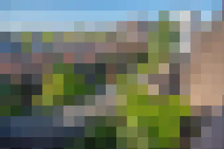 Hooikade 23 Delft thumbnail 31