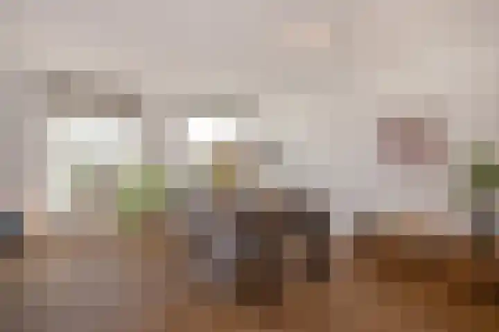 Hooikade 23 Delft thumbnail 8