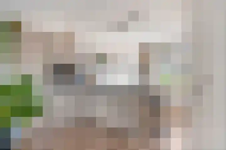 Hooikamp 52 Leerdam thumbnail 13