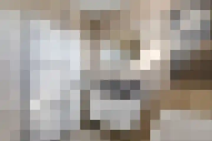 Hooikamp 52 Leerdam thumbnail 23